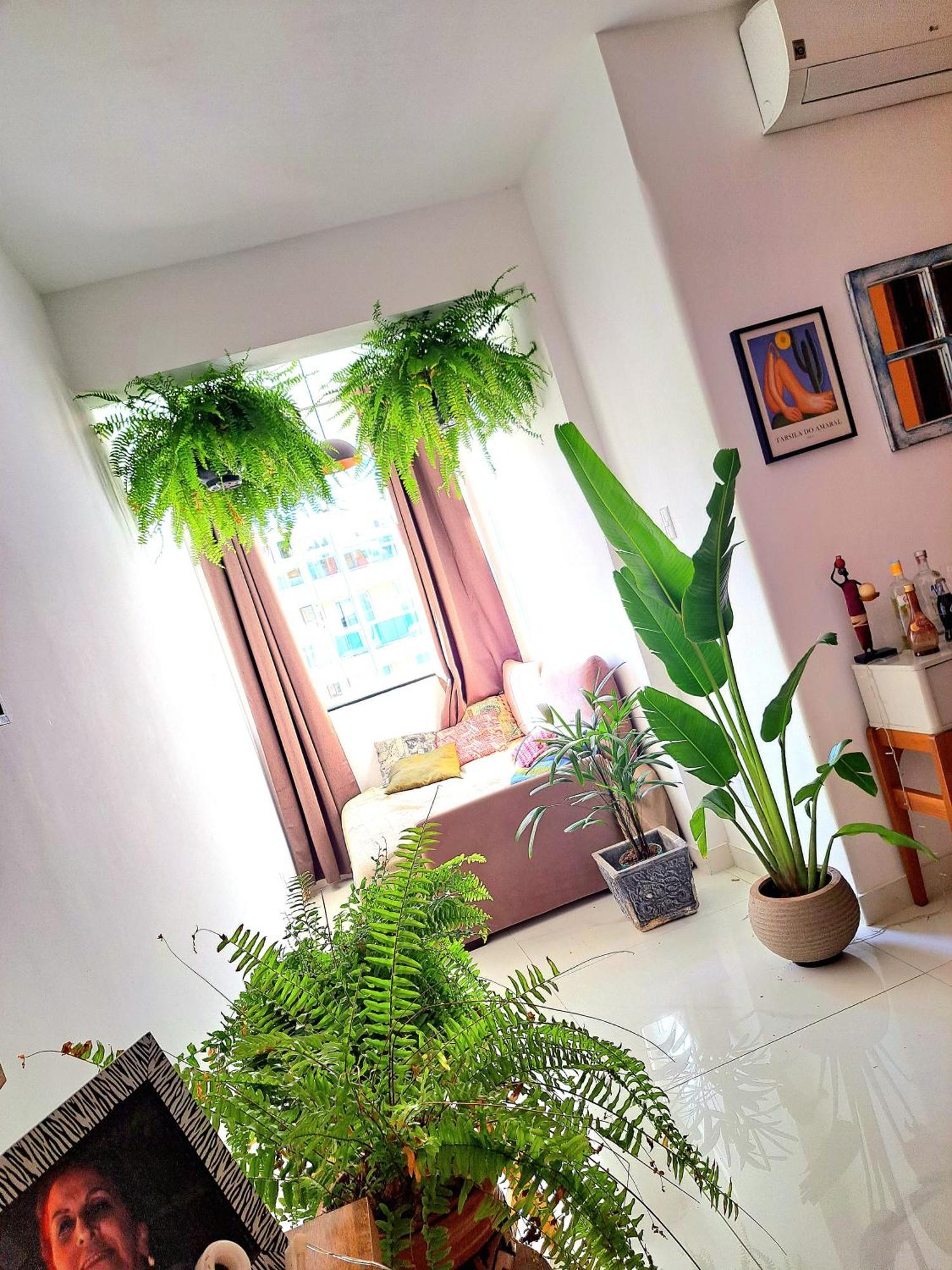 Quarto Com Anfitriao Rj Rio de Janeiro Eksteriør billede
